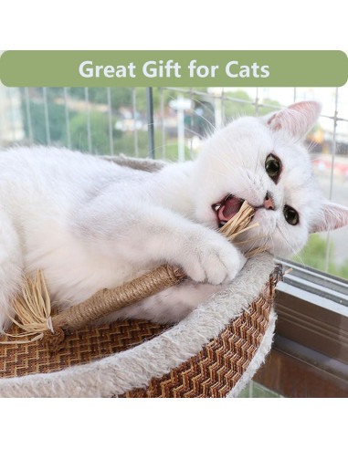 3 PCS Palos de Silvervine para Gatos - Juguetes Naturales Dentales