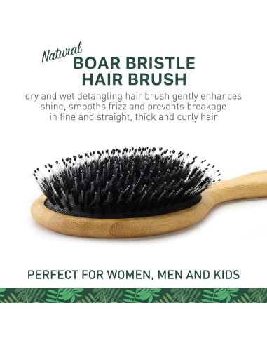 Cepillo Desenredante de Cerdas de Jabalí Zollo - 1 Cuenta