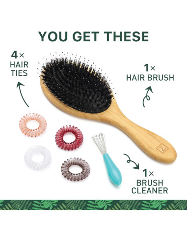 Cepillo Desenredante de Cerdas de Jabalí Zollo - 1 Cuenta