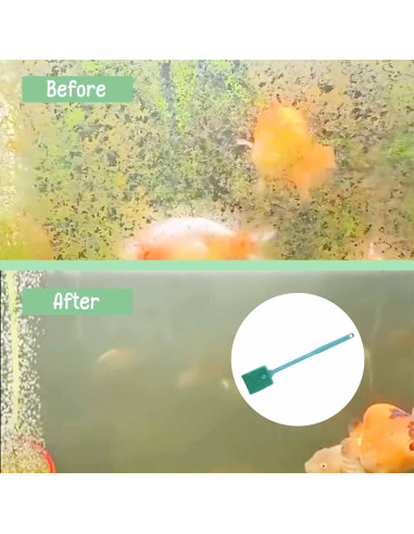 Cepillo de Acuario Chaekoy Doble Cara 31.75 cm Verde