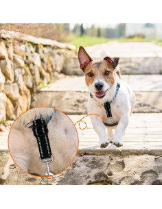 Clip de Seguridad para Perros Chngna - Nylon Reflectante Ajustable 2