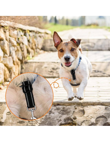 Clip de Seguridad para Perros Chngna - Nylon Reflectante Ajustable