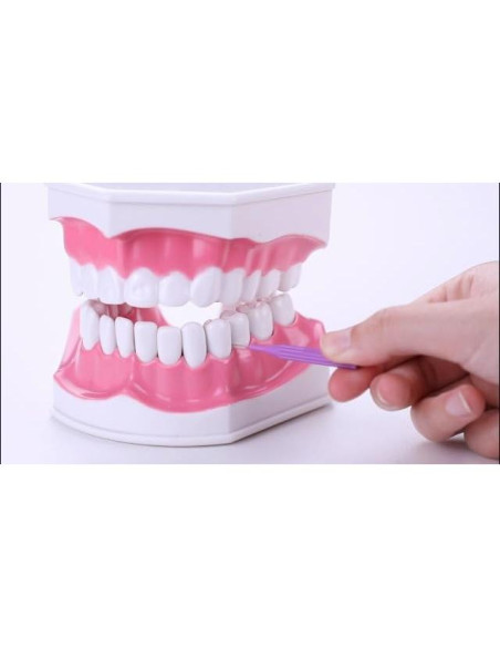 100 Piezas Cepillos Interdentales Patelai Higiene Oral Gris