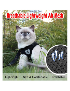 Arnés y Correa para Gatos y Cachorros GAUTERF XS Ajustable 2