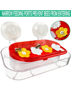 2 Alimentadores de Colibrí de Ventana WLLKOO 0.28L con Ventosas 2