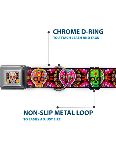 Collar de Perro Buckle-Down Seis Calaveras Multicolor 22.86-38.1 cm