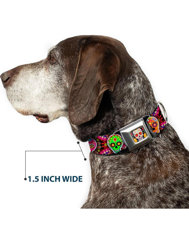 Collar de Perro Buckle-Down Seis Calaveras Multicolor 22.86-38.1 cm