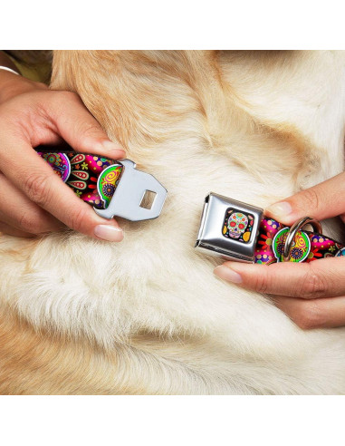 Collar de Perro Buckle-Down Seis Calaveras Multicolor 22.86-38.1 cm