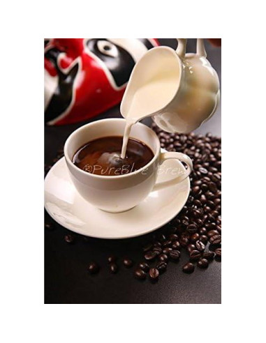 Soporte para Filtro de Agua PureBlue Brew - Plástico Transparente