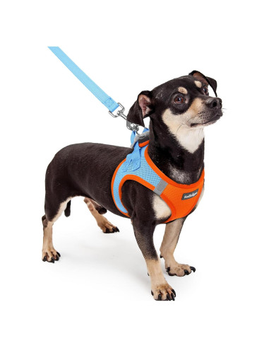 Conjunto Arnés y Correa Rabbitgoo XXXS Azul Naranja Transpirable