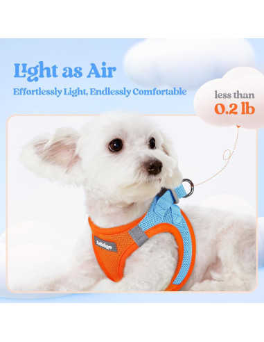 Conjunto Arnés y Correa Rabbitgoo XXXS Azul Naranja Transpirable