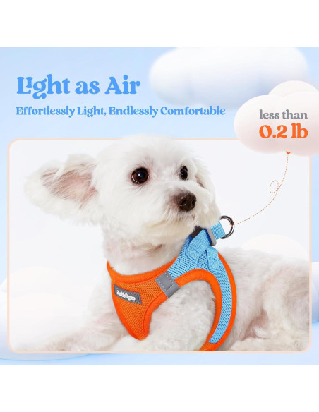 Conjunto Arnés y Correa Rabbitgoo XXXS Azul Naranja Transpirable