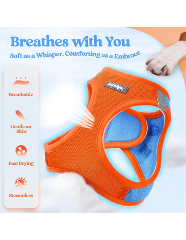 Conjunto Arnés y Correa Rabbitgoo XXXS Azul Naranja Transpirable