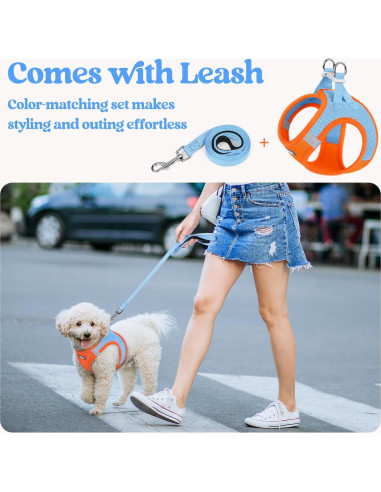 Conjunto Arnés y Correa Rabbitgoo XXXS Azul Naranja Transpirable