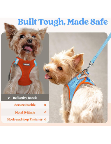Conjunto Arnés y Correa Rabbitgoo XXXS Azul Naranja Transpirable
