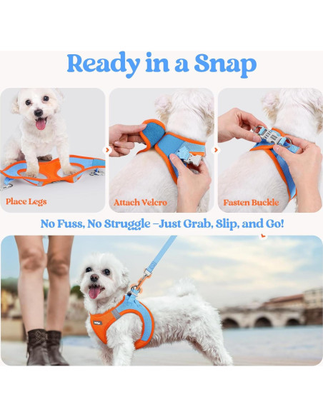 Conjunto Arnés y Correa Rabbitgoo XXXS Azul Naranja Transpirable