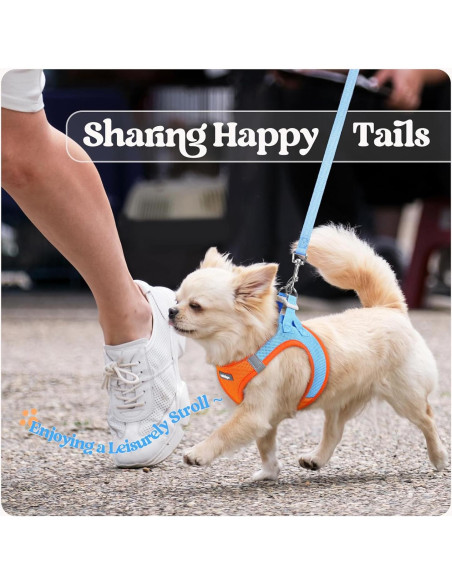 Conjunto Arnés y Correa Rabbitgoo XXXS Azul Naranja Transpirable