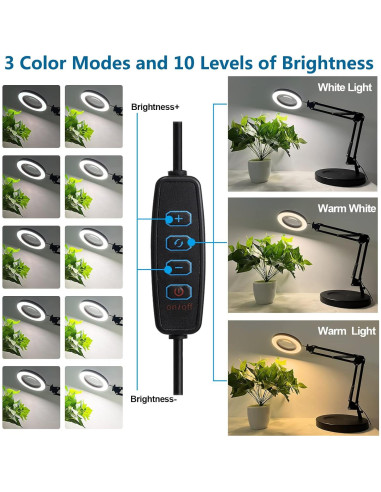 Lámpara de Aumento LED HITTI 12X con Lente de Vidrio 4.2"