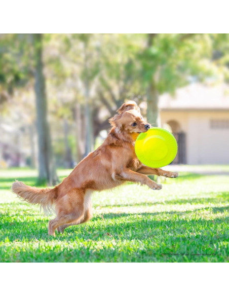 Frisbee Gripsbee Wham-O Jumbo Flotante para Perros