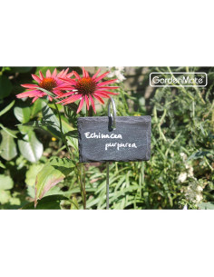 Etiquetas de Plantas de Pizarra GardenMate 5-Pack 10.16x6.99cm 2
