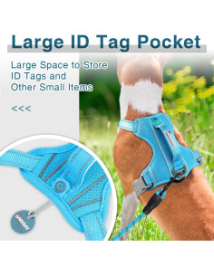 Arnés para Perros BARKBAY Sin Tirones Azul Pequeño 49.5-66cm 2