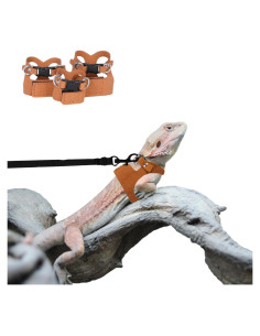 Conjunto Arnés y Correa TTMIMIK para Dragón Barbudo - 3 Tamaños