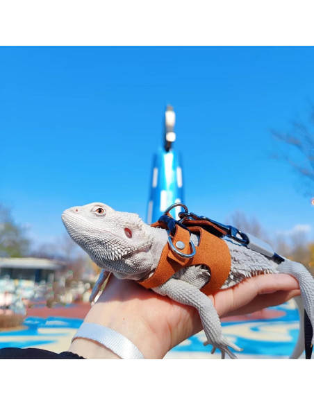 Conjunto Arnés y Correa TTMIMIK para Dragón Barbudo - 3 Tamaños Conjunto Arnés y Correa TTMIMIK para Dragón Barbudo - 3 Tamaños