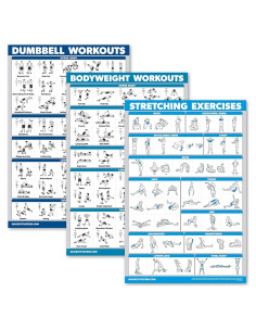 Carteles de Ejercicios Laminados QuickFit - Set de 3 Gráficos