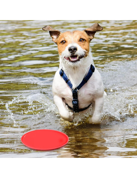 Disco Volador Chivao 15 Piezas Silicona Flotante para Perros