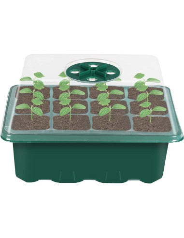 Bandeja para Semillas VANLAN 10 Paquetes con Tapa y Base Verde
