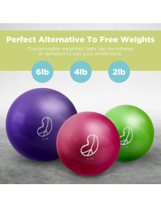 Bolas de Ejercicio con Peso Suave Bean Products 0.91 kg 2