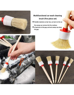 Juego de Cepillos de Detalle para Autos Dualshine 10PCS 2