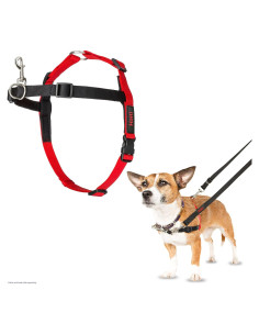 Arnés de Control Frontal Halti - Antitirones para Perros Pequeños