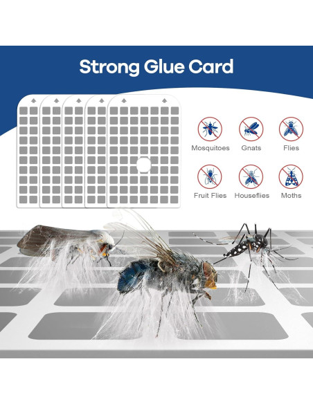 Tarjetas de Pegamento Repuesto DFAGIE GS6 - Paquete de 4
