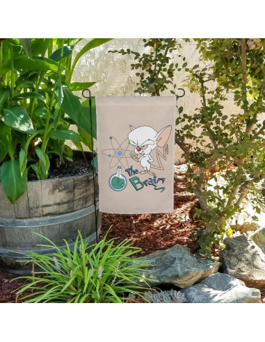 Bandera de Jardín Pinky y el Cerebro 48x33cm Graphics & More