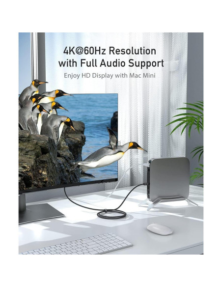 Cable USB C a DisplayPort uni 3FT 4K@60Hz Unidireccional