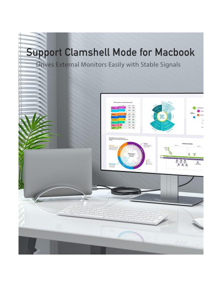 Cable USB C a DisplayPort uni 3FT 4K@60Hz Unidireccional