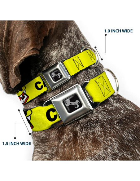 Collar de Perro Buckle-Down 24-33 cm con Hebilla de Seguridad