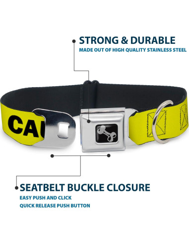 Collar de Perro Buckle-Down 24-33 cm con Hebilla de Seguridad
