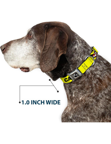 Collar de Perro Buckle-Down 24-33 cm con Hebilla de Seguridad