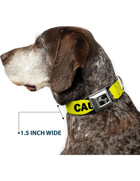 Collar de Perro Buckle-Down 24-33 cm con Hebilla de Seguridad