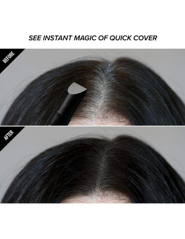 Kiss Retoque Rápido Tinte para Cabello Gris Stick Húmedo 2 Unidades Negro