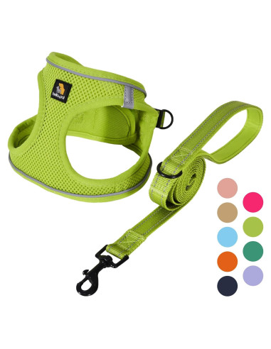 Arnés para Perros Pequeños Bella & Pal XXS Verde Aguacate