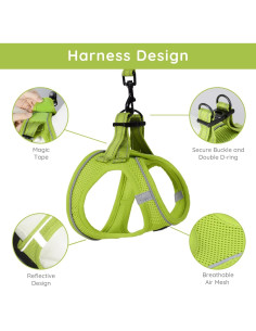 Arnés para Perros Pequeños Bella & Pal XXS Verde Aguacate 2