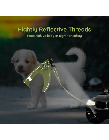 Arnés para Perros Pequeños Bella & Pal XXS Verde Aguacate