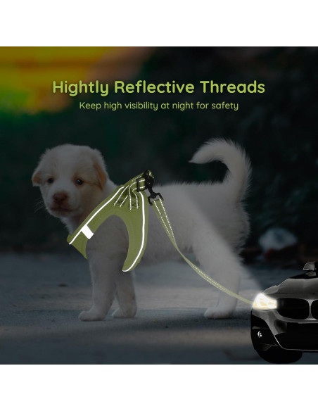 Arnés para Perros Pequeños Bella & Pal XXS Verde Aguacate Arnés para Perros Pequeños Bella & Pal XXS Verde Aguacate