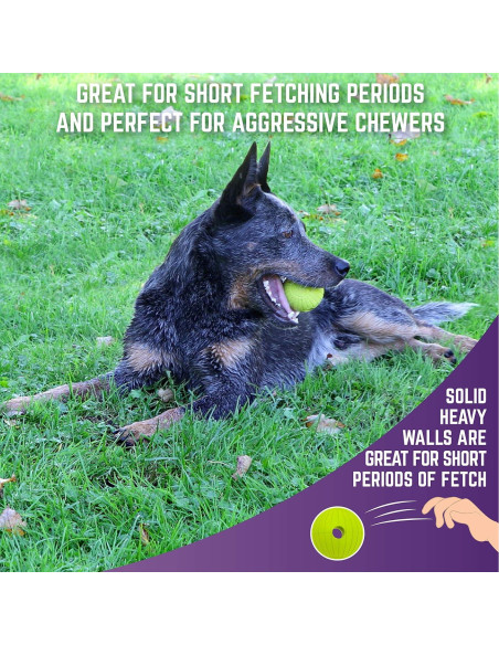 Pelota de Fetch Chew King Supreme 6.35 cm - Caucho Natural Duradero