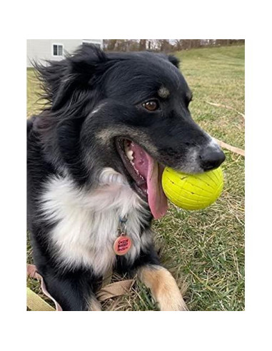 Pelota de Fetch Chew King Supreme 6.35 cm - Caucho Natural Duradero