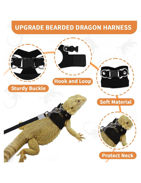 Juego de Arnés y Correa Retráctil VOXGET para Reptiles - Negro