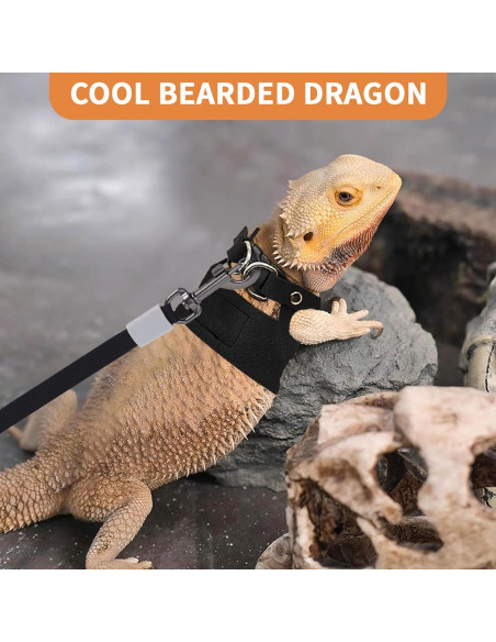 Juego de Arnés y Correa Retráctil VOXGET para Reptiles - Negro